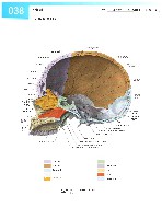 Sobotta Atlas of Human Anatomy  Head,Neck,Upper Limb Volume1 2006, page 45